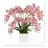Pink Orchids Arranges in Square Fiberstone Planter