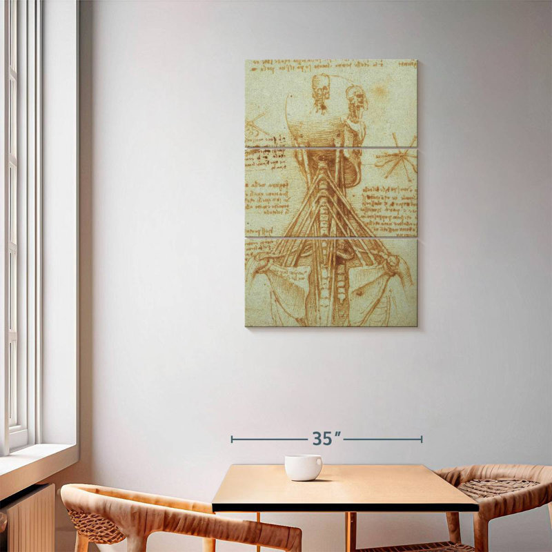 Anatomie du cou Keiri, H 57 po x l 36 po