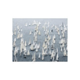 Barcelona Regatta Print by Sofia Fox