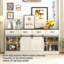 Buffet 70 po-1229391386
