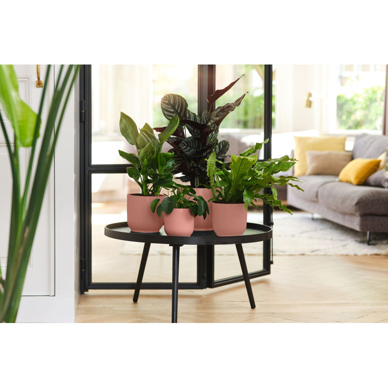Pot Planter, Delicate Pink, 12.9cm H x 14.1cm W x 14.1cm D