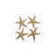 4 Piece Starfish Wall Décor Set-369482683