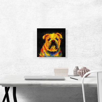 " English Bulldog "