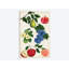 « fruit collection i », impression sur toile-29176826-72780962-72780963