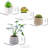 4 Piece Square Glass Floating Shelf