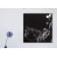Cowboy Scratchboard by Julie T. Chapman - Wrapped Canvas Gallery-Wrapped Canvas Giclée-630609535