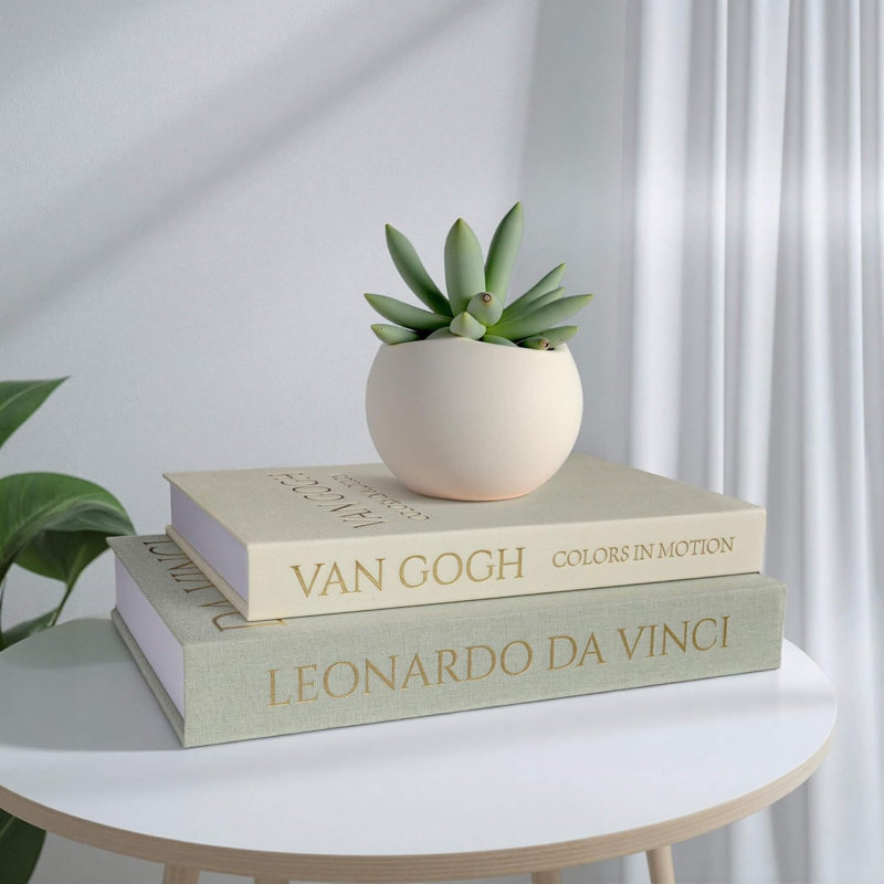 Ensemble de 2 livres de rangement décoratifs, housse en lin