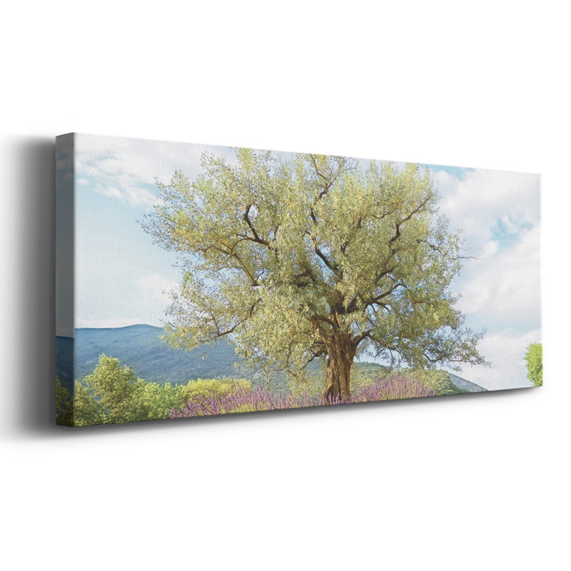 Olive sur toile, H 20 po x l 50 po x P 1,5 po