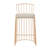 Upholstered Counter Stool-1920739648