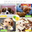 Grand lit pour chien orthopédique lavable et 2 jouets interactifs pour chien