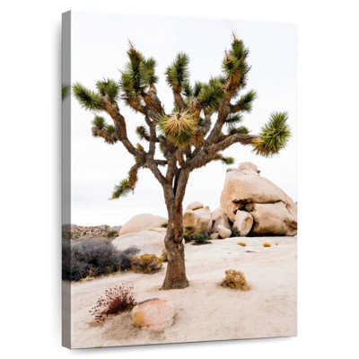 Harnek Joshua Tree National Park III