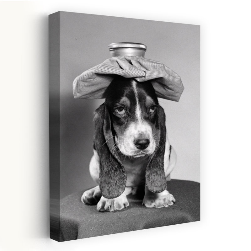 Bassett hound, chien avec sac de glace, art rétro rétro, H 24 po x l 16 po