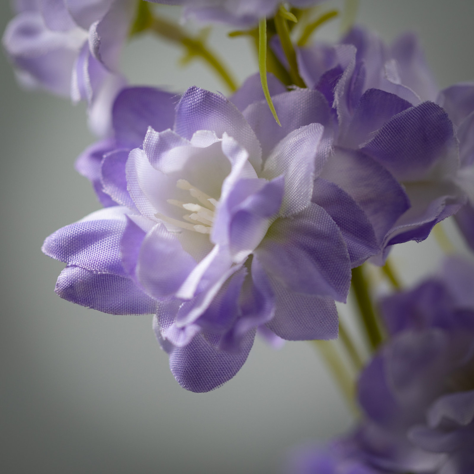 Larkspur Sprays, Purple
