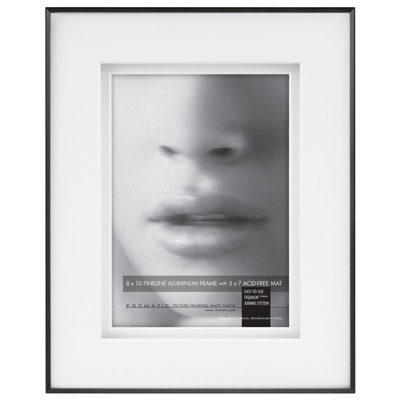 Fineline Metal Matte Picture Frame