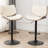 Odawa Swivel Adjustable Height Bar Stool-648063075