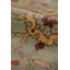 Antique Weave Serapi Wool Oriental Area Rug-25237537