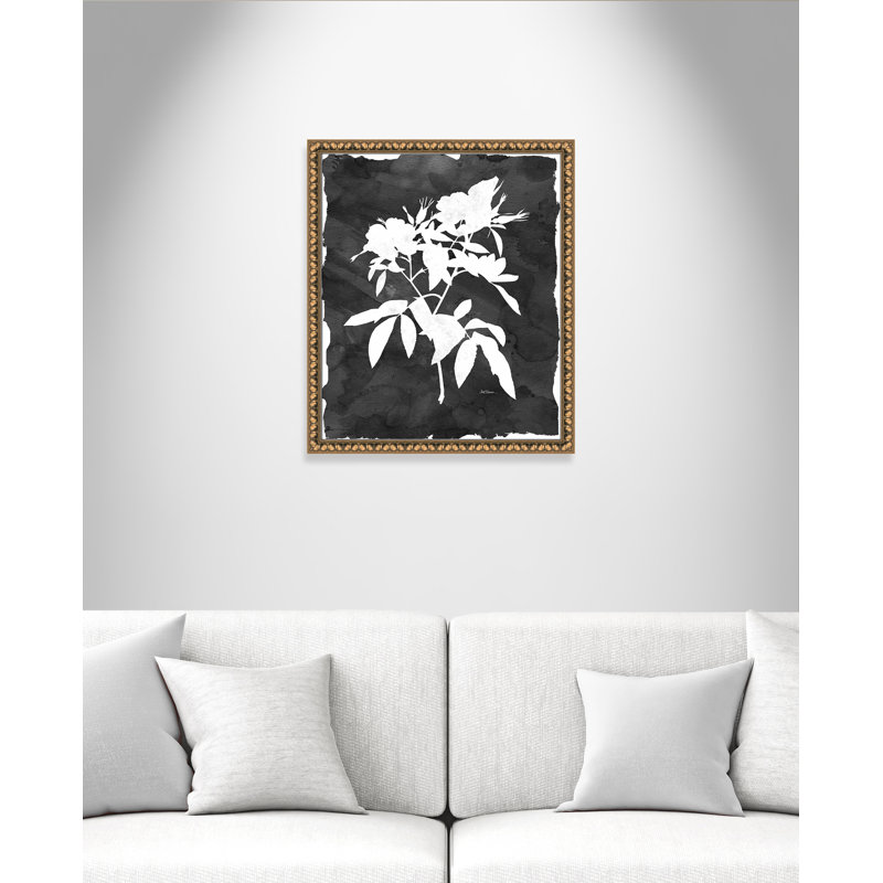 «Black Botanical I» par Carol Robinson - impression encadrée, Cadre en perle d'or, H 26,5 po x l 22,5 po x P 1,13 po
