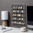 5 Tiers Coin Collector Clear Display Shelf