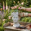 Pot à fleurs Amargos Alex-James-538548710