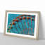 Ferris Wheel Vol.2 - Framed Print-62802925-62802926