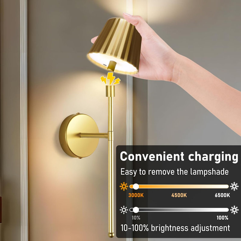 Plastic Flush Mounted Sconce