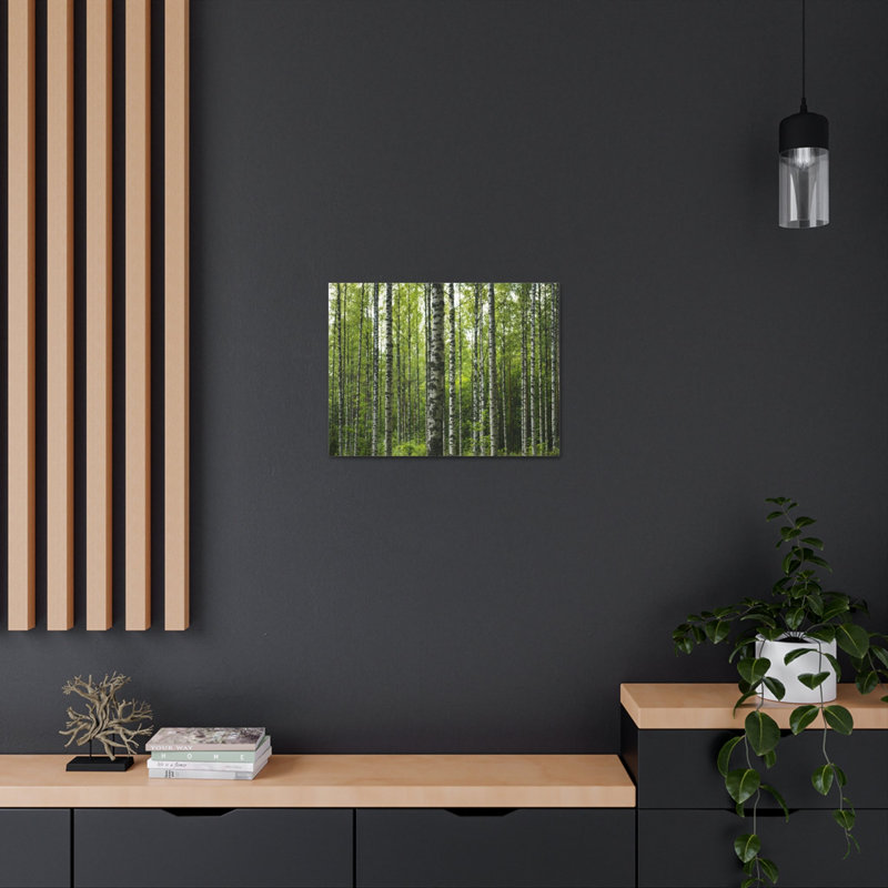 No Frame Print on Canvas, 40.64cm H x 50.8cm W