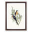 Ash-Coloured Cuckoos 1 Piece Single Picture Frame Painting-57844268-57844272
