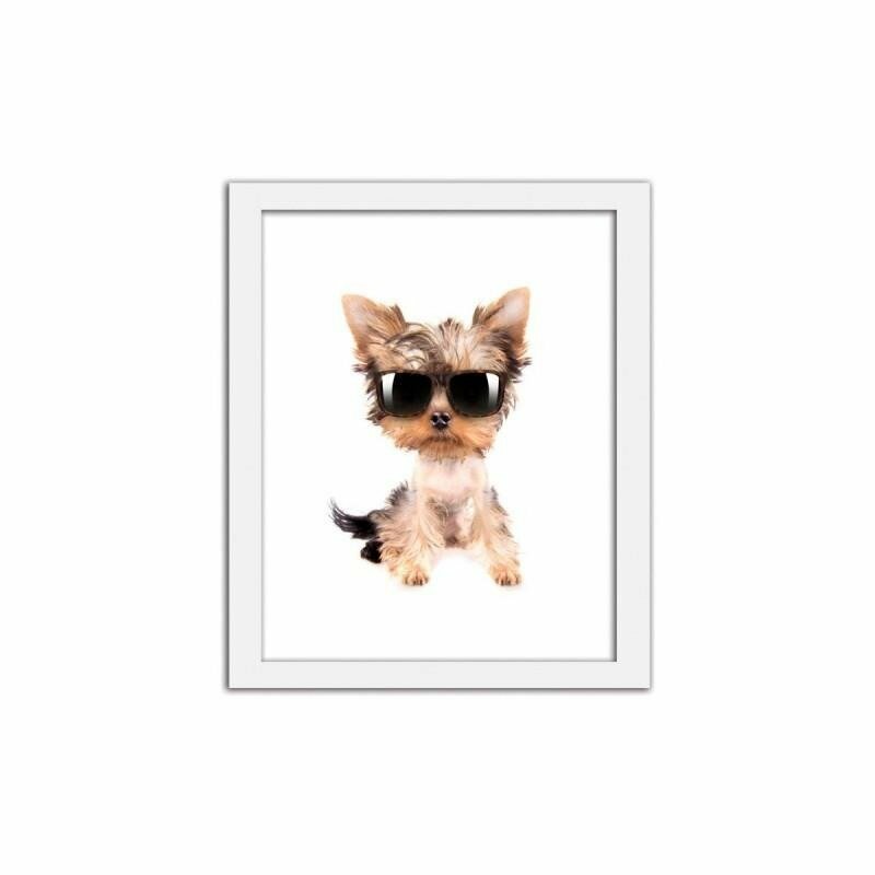 Gerahmtes Poster Yorkshire Terrier mit Brille