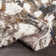 Azarcon Abstract Indoor Rug