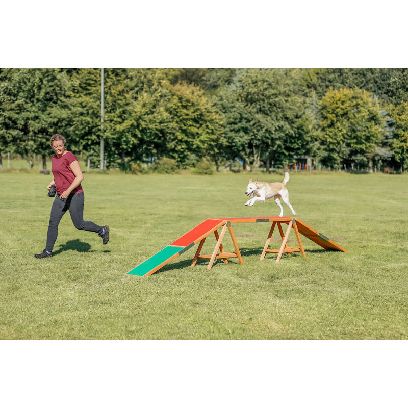 TRIXIE Large Outdoor Dog Agility Training Dogwalk