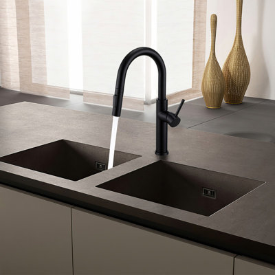 Robinet de cuisine à poignée simple Rex High Arc, sans plomb, noir mat