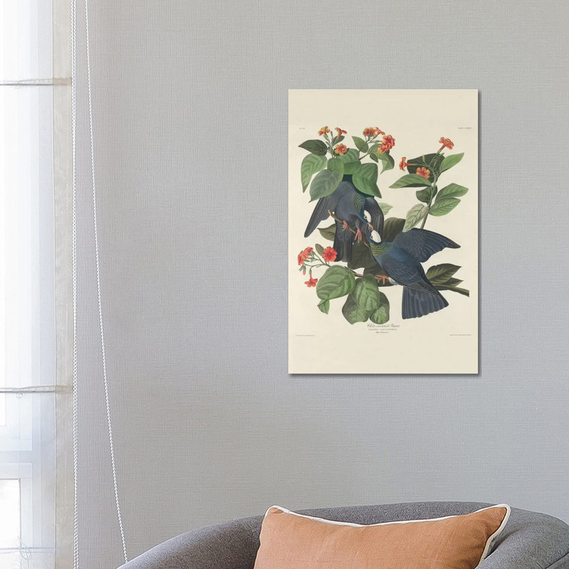 White-crowned Pigeon, 1833 by John James Audubon - Wrapped Canvas Gallery-Wrapped Canvas Giclée