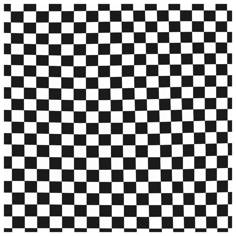 Coussins décoratifs noirs et blancs à carreaux, 20 x 20 pouces