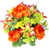 Yellow / Orange / Velvet/Kiwi