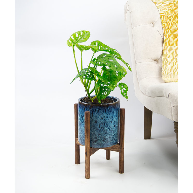 Pot de fleurs en céramique Hinz, Bleu paon / noir