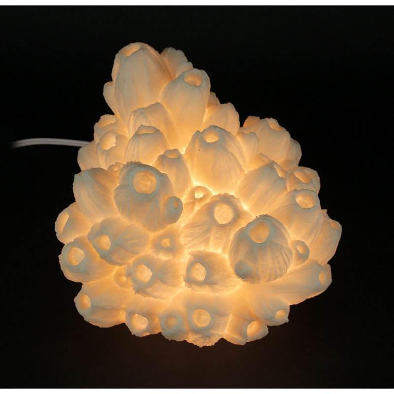 Lampe d'appoint en résine corail blanche tubulaire, style côtier, avec lumière chaude et ampoule de type A, hauteur de 20 cm