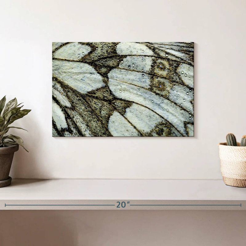 Brampt Marbled Wing Of Butterfly, 8" H x 12" W
