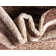 Cotati Abstract Indoor Rug