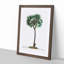 Date Palm Tree by Pierre-Joseph Redoute - Picture Frame Painting Print-55491127-55491128