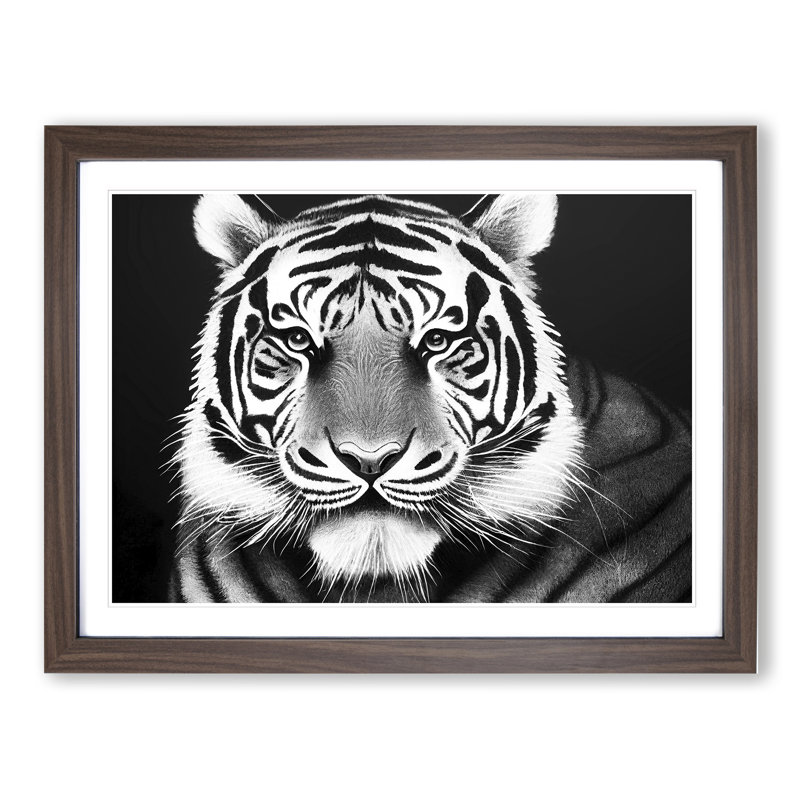 Monochrome Tiger Vol.5 - Framed Print, 25cm H x 34cm W x 2cm D, Brown Framed