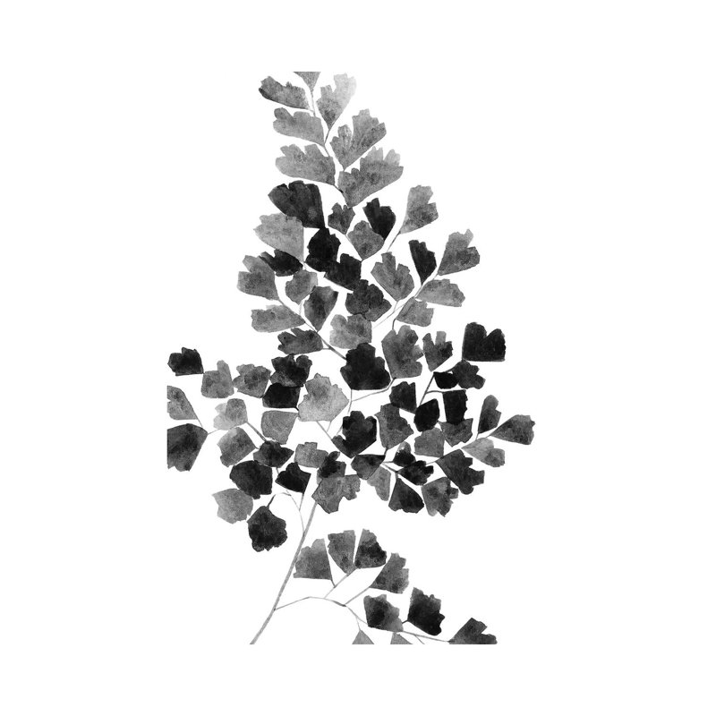 Black Fern 1 Piece Painting on Canvas, 66.04 cm H x 45.72 cm W x 1.91 cm D, Wrapped Canvas