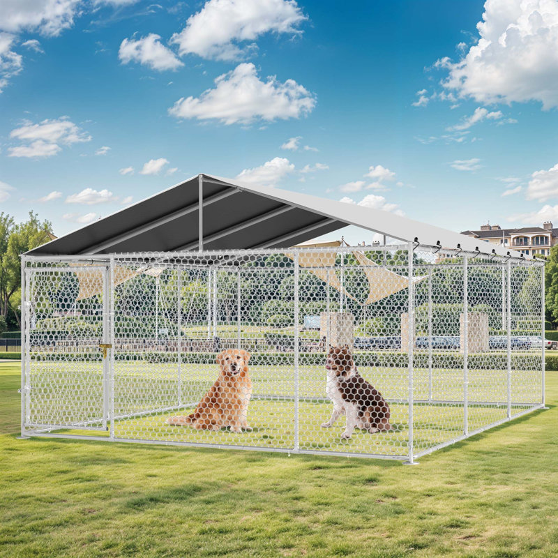 Enclos pour chien Balconera, H 90 po x l 176,4 po x P 176,4 po