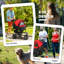 Savion Foldable Pet Stroller-96843434