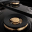 ZLINE autographe 48 po Legacy Dual Range en acier satiné avec détails noirs et bronze