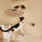 Cat Shelf for Wall with 3 Cat Wall Steps