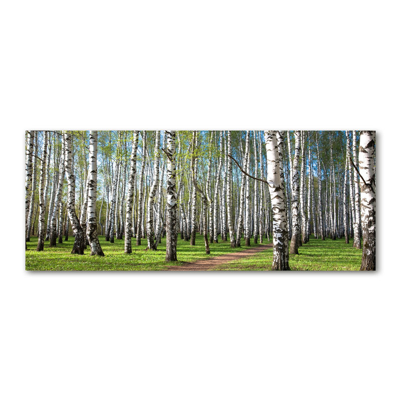 Birch Forest - Wrapped Canvas Print