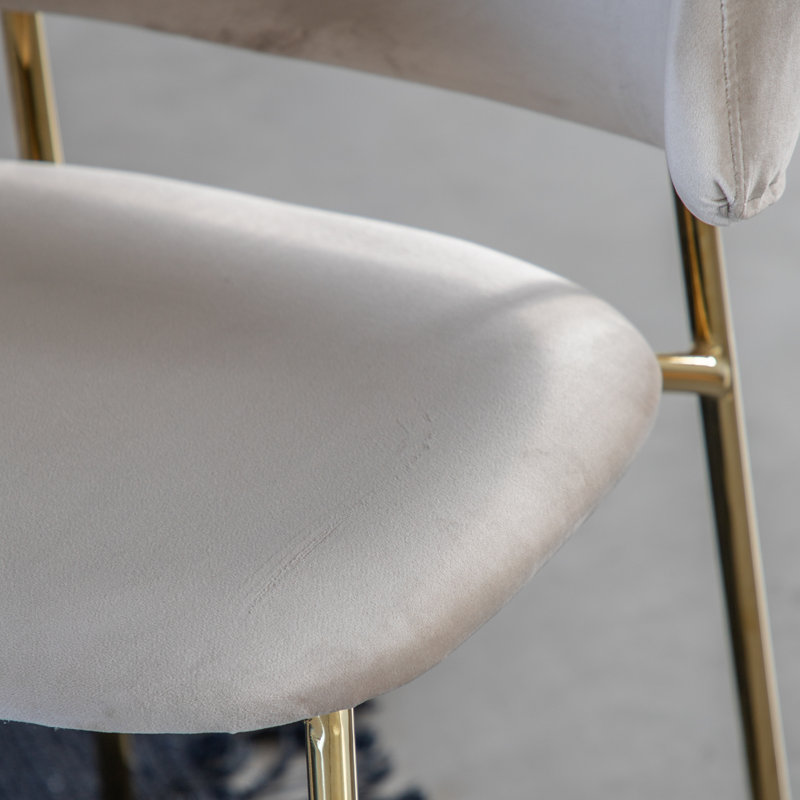 Anagha Upholstered Back Side Chair in Brown