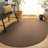 Braided Hand Loomed Performance Solid Color Indoor Indoor/Outdoor Area Rug-1869156173