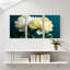 Pivoine, pivoines blanches sur fond foncé, ensemble de 3 impressions sur toile-1033402517