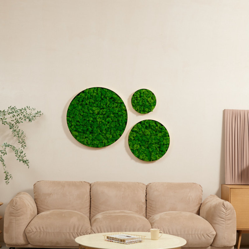 Décoration murale ronde en mousse encadrée, seulement le médium 18,1 * 18,1 * 2 po